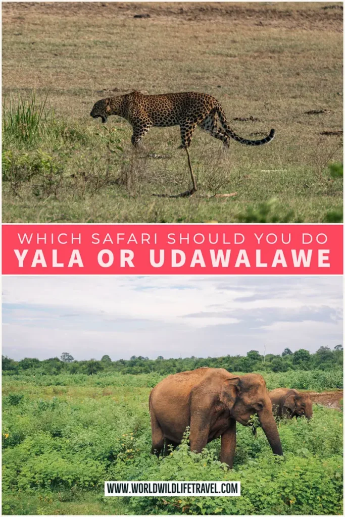 Which safari in Sri Lanka to do Yala or Udawalawe national park pin