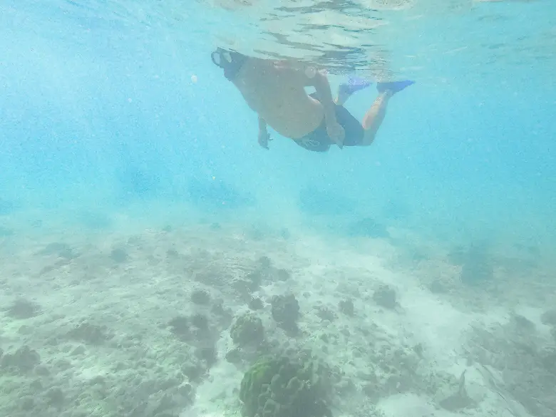 Sam snorkelling the clear waters of Koh Phi Phi