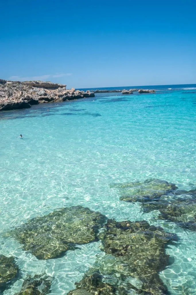 Beautiful blue waters of Rottnest Island make this a great snorkelling spot in Perth