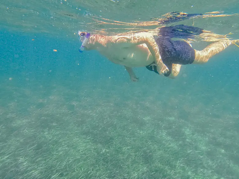 Sam snorkelling through the clear water in Perth
