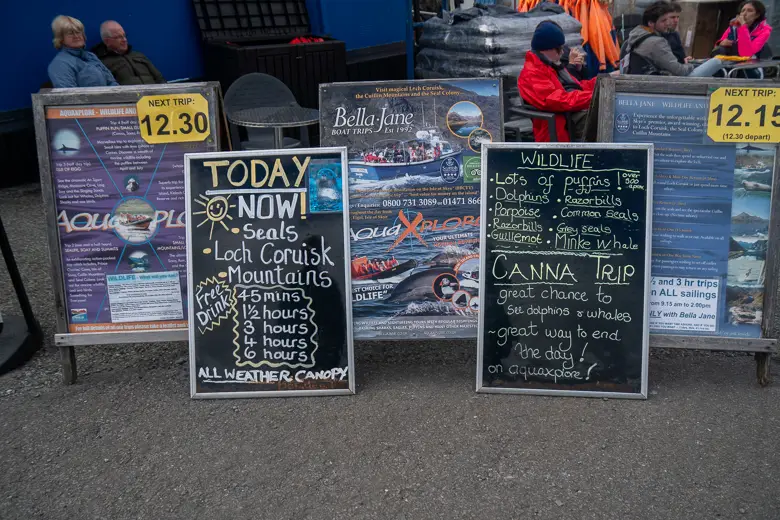 Different blackboards showcasing the different wildlife tours you can do on the Isle of Skye where you can see sharks dolphins and more