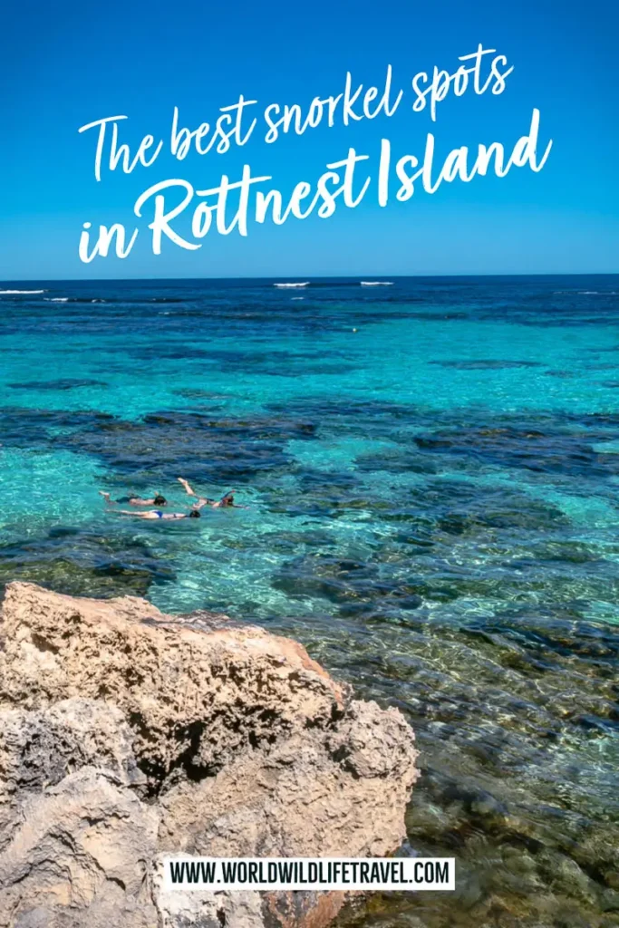 The best snorkel spots in Rottnest Island Western Australia pin