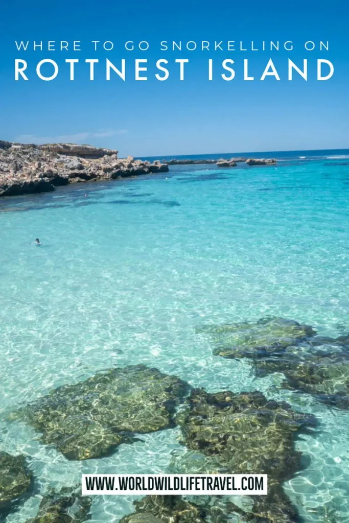 Where to find the best snorkelling spots at Rottnest Island pin