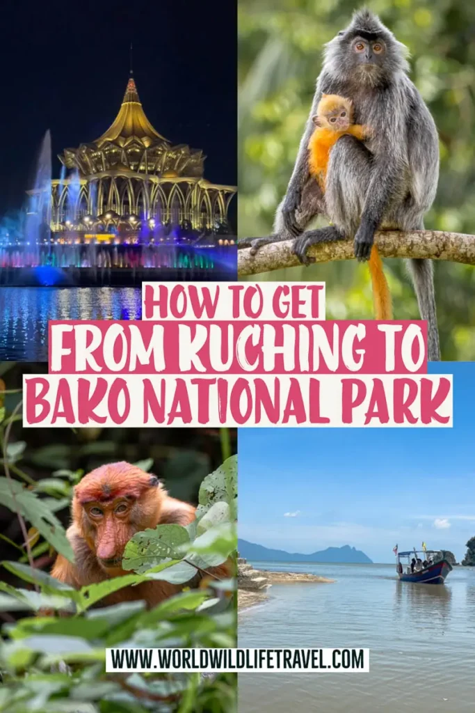 How to get to Bako National Park from Kuching pin