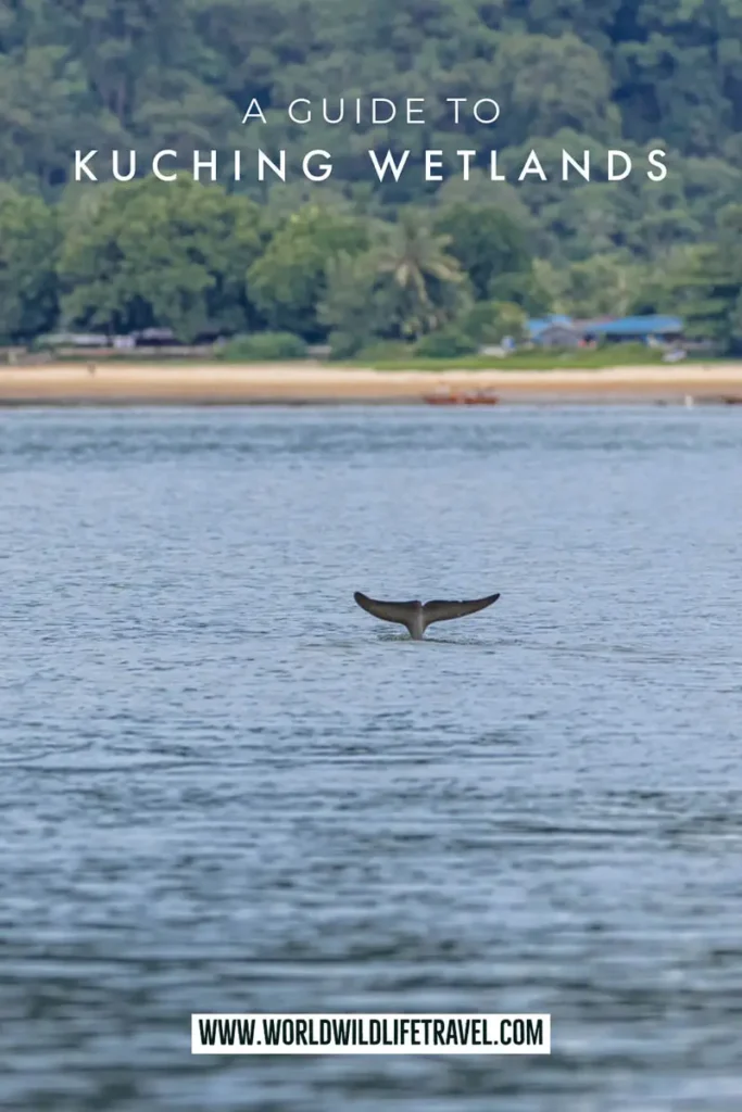 A guide to visiting Kuching Wetlands National Park, Borneo pin