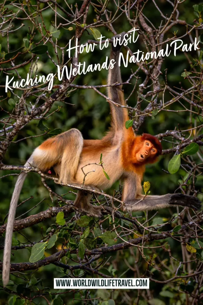 Kuching Wetlands National Park pin