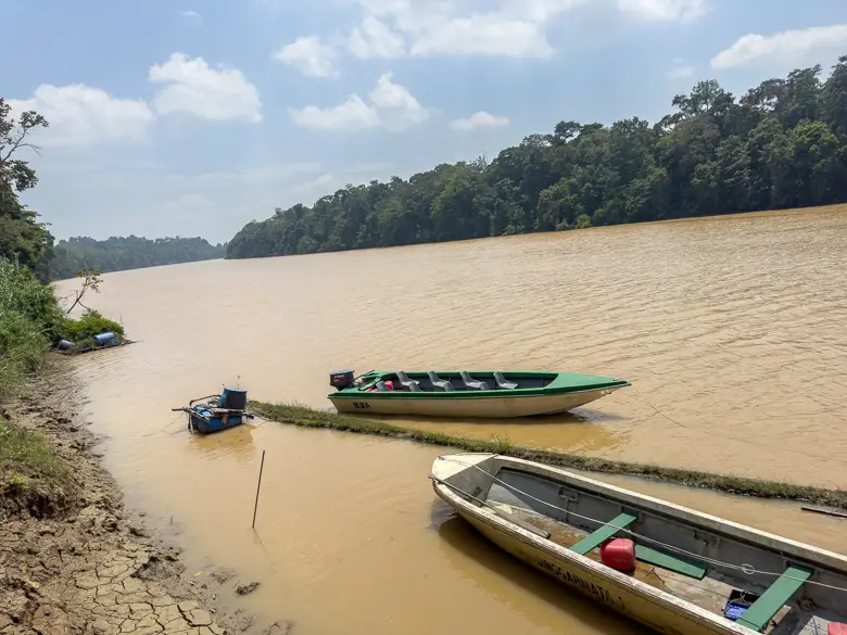 View of the Kinabatangan River