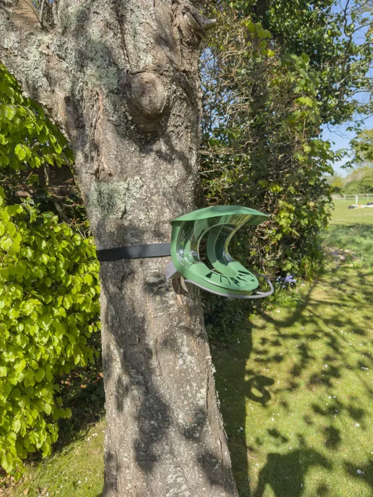 Birdfy 2 duo feeder wrapped around a tree